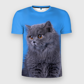 Мужская футболка 3D Slim с принтом Британская длинношерстная кошка в Екатеринбурге, 100% полиэстер с улучшенными характеристиками | приталенный силуэт, круглая горловина, широкие плечи, сужается к линии бедра | british cat | английская кошка | британец | британская вислоухая кошка | британская кошка | британский кот | вислоухий британец | вислоухий котенок британец | кот британец | котенок британец