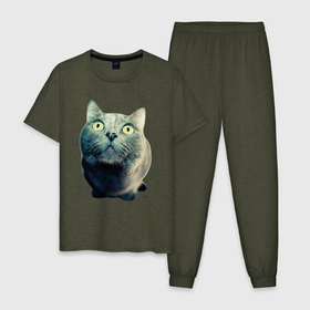 Мужская пижама хлопок с принтом Кошка с желтыми глазами , 100% хлопок | брюки и футболка прямого кроя, без карманов, на брюках мягкая резинка на поясе и по низу штанин
 | желтые глаза | котенок | кошка | принт с кошкой | серая кошка