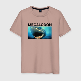 Мужская футболка хлопок с принтом Древняя акула Мегаладон в Екатеринбурге, 100% хлопок | прямой крой, круглый вырез горловины, длина до линии бедер, слегка спущенное плечо. | 