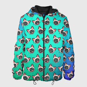 Мужская куртка 3D с принтом Сиамские мультяшные котики в Санкт-Петербурге, ткань верха — 100% полиэстер, подклад — флис | прямой крой, подол и капюшон оформлены резинкой с фиксаторами, два кармана без застежек по бокам, один большой потайной карман на груди. Карман на груди застегивается на липучку | cat | pussy | siamese | киса | кися | котик | котэ | кошка | кошки | сиам | сиамская | сиамский