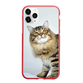 Чехол для iPhone 11 Pro матовый с принтом Сибирский полосатый кот в Курске, Силикон |  | Тематика изображения на принте: 
