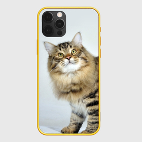Чехол для iPhone 12 Pro с принтом Сибирский полосатый кот в Курске, силикон | область печати: задняя сторона чехла, без боковых панелей | Тематика изображения на принте: 
