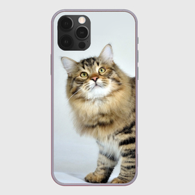 Чехол для iPhone 12 Pro Max с принтом Сибирский полосатый кот в Курске, Силикон |  | Тематика изображения на принте: 