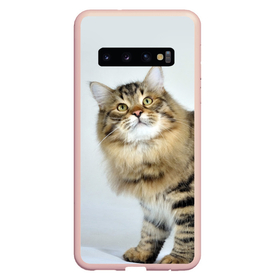 Чехол для Samsung Galaxy S10 с принтом Сибирский полосатый кот в Курске, Силикон | Область печати: задняя сторона чехла, без боковых панелей | Тематика изображения на принте: 