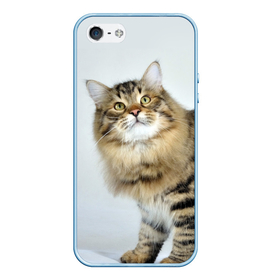 Чехол для iPhone 5/5S матовый с принтом Сибирский полосатый кот в Курске, Силикон | Область печати: задняя сторона чехла, без боковых панелей | Тематика изображения на принте: 