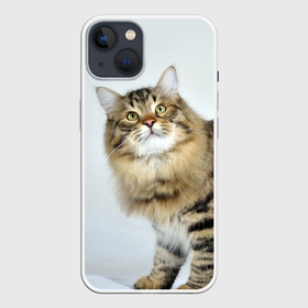 Чехол для iPhone 13 с принтом Сибирский полосатый кот в Курске,  |  | Тематика изображения на принте: 