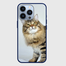 Чехол для iPhone 13 Pro с принтом Сибирский полосатый кот в Курске,  |  | Тематика изображения на принте: 