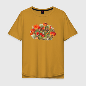 Мужская футболка хлопок Oversize с принтом Study of Mushrooms в Петрозаводске, 100% хлопок | свободный крой, круглый ворот, “спинка” длиннее передней части | ботаника | винтаж | грибы | картина | классика | книга | минимализм | природа | флора | цветы