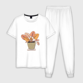 Мужская пижама хлопок с принтом Комнатный цветочек в Курске, 100% хлопок | брюки и футболка прямого кроя, без карманов, на брюках мягкая резинка на поясе и по низу штанин
 | горшок | комнатный | полка | уют | цветок
