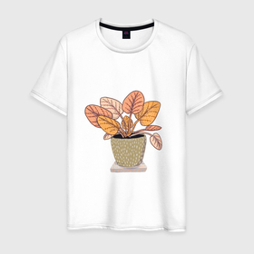 Мужская футболка хлопок с принтом Комнатный цветочек в Новосибирске, 100% хлопок | прямой крой, круглый вырез горловины, длина до линии бедер, слегка спущенное плечо. | горшок | комнатный | полка | уют | цветок