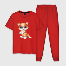 Мужская пижама хлопок с принтом Рыжая кошечка с голубыми глазками , 100% хлопок | брюки и футболка прямого кроя, без карманов, на брюках мягкая резинка на поясе и по низу штанин
 | голубые глаза | кот | кошечка | кошка | рыжая кошка