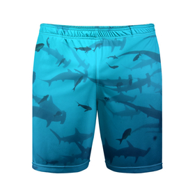 Мужские шорты спортивные с принтом акулы   океан в Петрозаводске,  |  | shark | акула | акула молот | акулы | жители | клыки | море | морские | океан | рыба