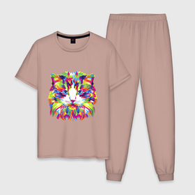 Мужская пижама хлопок с принтом Colour cat face в Тюмени, 100% хлопок | брюки и футболка прямого кроя, без карманов, на брюках мягкая резинка на поясе и по низу штанин
 | cat | colour | face | meow | кот | кошка | лицо | мяу | разноцветный | цветная | цветной