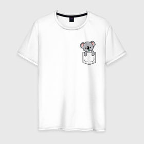 Мужская футболка хлопок с принтом Коала в кармашке в Кировске, 100% хлопок | прямой крой, круглый вырез горловины, длина до линии бедер, слегка спущенное плечо. | animals | koala | pocket | животные | звери | карман | кармашек | коала