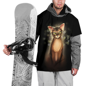 Накидка на куртку 3D с принтом Кошка абиссинская в Санкт-Петербурге, 100% полиэстер |  | абиссинец | абиссинская кошка | абиссинская порода | блики | кот абиссинец | котенок абиссинец | кошка абиссинец | порода абиссинец