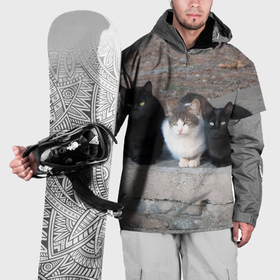Накидка на куртку 3D с принтом Белая кошечка в компании черных котов в Санкт-Петербурге, 100% полиэстер |  | 