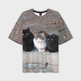 Мужская футболка oversize 3D с принтом Белая кошечка в компании черных котов в Санкт-Петербурге,  |  | 