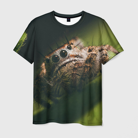 Мужская футболка 3D с принтом Настоящий монстр в Новосибирске, 100% полиэфир | прямой крой, круглый вырез горловины, длина до линии бедер | arachnid | horror | арахнид | взгляд | глаза | зеленый | лес | монстр | насекомое | паук | природа | ужас | фобия | хоррор | чудовище