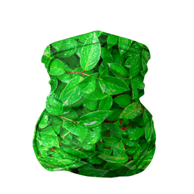 Бандана-труба 3D с принтом Зелёные листья   текстура в Петрозаводске, 100% полиэстер, ткань с особыми свойствами — Activecool | плотность 150‒180 г/м2; хорошо тянется, но сохраняет форму | зелёные | лето | листья | паттерн | текстура