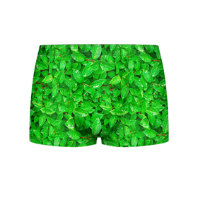 Мужские трусы 3D с принтом Зелёные листья   текстура , 50% хлопок, 50% полиэстер | классическая посадка, на поясе мягкая тканевая резинка | зелёные | лето | листья | паттерн | текстура