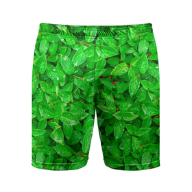Мужские шорты спортивные с принтом Зелёные листья   текстура в Тюмени,  |  | зелёные | лето | листья | паттерн | текстура