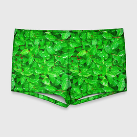 Мужские купальные плавки 3D с принтом Зелёные листья   текстура в Тюмени, Полиэстер 85%, Спандекс 15% |  | Тематика изображения на принте: зелёные | лето | листья | паттерн | текстура