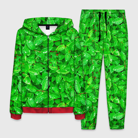 Мужской костюм 3D с принтом Зелёные листья   текстура , 100% полиэстер | Манжеты и пояс оформлены тканевой резинкой, двухслойный капюшон со шнурком для регулировки, карманы спереди | зелёные | лето | листья | паттерн | текстура