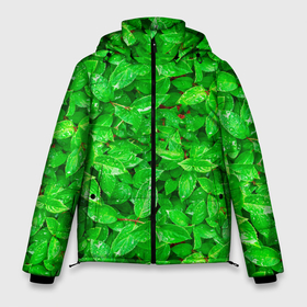 Мужская зимняя куртка 3D с принтом Зелёные листья   текстура в Кировске, верх — 100% полиэстер; подкладка — 100% полиэстер; утеплитель — 100% полиэстер | длина ниже бедра, свободный силуэт Оверсайз. Есть воротник-стойка, отстегивающийся капюшон и ветрозащитная планка. 

Боковые карманы с листочкой на кнопках и внутренний карман на молнии. | зелёные | лето | листья | паттерн | текстура