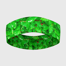 Повязка на голову 3D с принтом Зелёные листья  текстура ,  |  | Тематика изображения на принте: зелёные | лето | листья | паттерн | текстура
