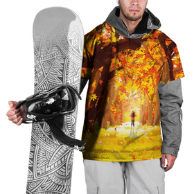Накидка на куртку 3D с принтом В осеннем парке в Петрозаводске, 100% полиэстер |  | autumn | времена года | осенний пейзаж | осень | природа