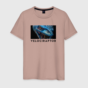 Мужская футболка хлопок с принтом Хищный динозавр велоцираптор в Новосибирске, 100% хлопок | прямой крой, круглый вырез горловины, длина до линии бедер, слегка спущенное плечо. | Тематика изображения на принте: velociraptor | велоцераптор | велоцираптор | динозавры | раптор | хищные динозавры