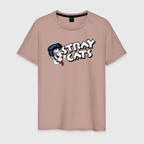 Мужская футболка хлопок с принтом StrayCats в Белгороде, 100% хлопок | прямой крой, круглый вырез горловины, длина до линии бедер, слегка спущенное плечо. | cat | stray | бродячий | кот | котейка | котик | приключение | стрэй