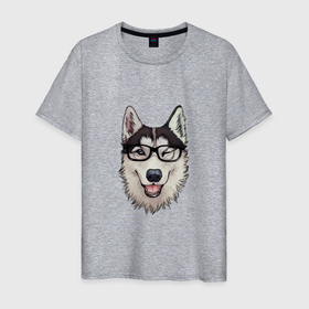 Мужская футболка хлопок с принтом Dog with glasses в Курске, 100% хлопок | прямой крой, круглый вырез горловины, длина до линии бедер, слегка спущенное плечо. | dog face | dog lover | funny | pet | домашнее животное | забавный | любитель собак | очки