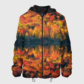Мужская куртка 3D с принтом Осенний лес   отражение в озере в Екатеринбурге, ткань верха — 100% полиэстер, подклад — флис | прямой крой, подол и капюшон оформлены резинкой с фиксаторами, два кармана без застежек по бокам, один большой потайной карман на груди. Карман на груди застегивается на липучку | autumn | colors | fall | forest | nature | деревья | зелень | краски | лес | листья | озеро | осень | отражение | природа