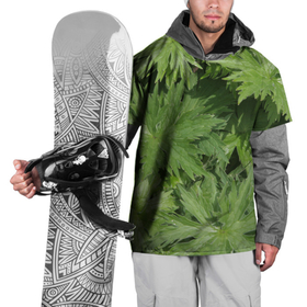 Накидка на куртку 3D с принтом Зеленая, зеленая трава в Кировске, 100% полиэстер |  | Тематика изображения на принте: дача | зеленая | зеленый | камуфляж | лето | лист | листок | листья | маскировка | пестрый | природа | растение | участок | фазенда | цветовод | цветоводство