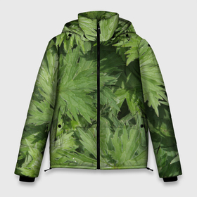 Мужская зимняя куртка 3D с принтом Зеленая, зеленая трава в Петрозаводске, верх — 100% полиэстер; подкладка — 100% полиэстер; утеплитель — 100% полиэстер | длина ниже бедра, свободный силуэт Оверсайз. Есть воротник-стойка, отстегивающийся капюшон и ветрозащитная планка. 

Боковые карманы с листочкой на кнопках и внутренний карман на молнии. | дача | зеленая | зеленый | камуфляж | лето | лист | листок | листья | маскировка | пестрый | природа | растение | участок | фазенда | цветовод | цветоводство