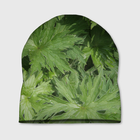 Шапка 3D с принтом Зеленая, зеленая трава в Белгороде, 100% полиэстер | универсальный размер, печать по всей поверхности изделия | дача | зеленая | зеленый | камуфляж | лето | лист | листок | листья | маскировка | пестрый | природа | растение | участок | фазенда | цветовод | цветоводство