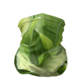 Бандана-труба 3D с принтом Зеленые листья после дождя в Петрозаводске, 100% полиэстер, ткань с особыми свойствами — Activecool | плотность 150‒180 г/м2; хорошо тянется, но сохраняет форму | абстракция | вода | дача | дождь | зеленая | зеленый | изгиб | камуфляж | капля | лето | лист | листок | листья | маскировка | природа | растение | участок | фазенда | цветовод | цветоводство