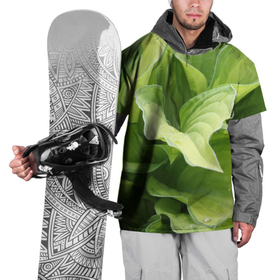 Накидка на куртку 3D с принтом Зеленые листья после дождя в Екатеринбурге, 100% полиэстер |  | абстракция | вода | дача | дождь | зеленая | зеленый | изгиб | камуфляж | капля | лето | лист | листок | листья | маскировка | природа | растение | участок | фазенда | цветовод | цветоводство