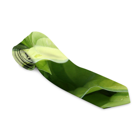 Галстук 3D с принтом Зеленые листья после дождя , 100% полиэстер | Длина 148 см; Плотность 150-180 г/м2 | Тематика изображения на принте: абстракция | вода | дача | дождь | зеленая | зеленый | изгиб | камуфляж | капля | лето | лист | листок | листья | маскировка | природа | растение | участок | фазенда | цветовод | цветоводство