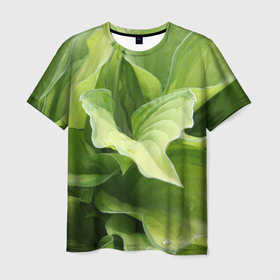 Мужская футболка 3D с принтом Зеленые листья после дождя в Петрозаводске, 100% полиэфир | прямой крой, круглый вырез горловины, длина до линии бедер | абстракция | вода | дача | дождь | зеленая | зеленый | изгиб | камуфляж | капля | лето | лист | листок | листья | маскировка | природа | растение | участок | фазенда | цветовод | цветоводство
