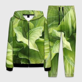 Мужской костюм 3D с принтом Зеленые листья после дождя , 100% полиэстер | Манжеты и пояс оформлены тканевой резинкой, двухслойный капюшон со шнурком для регулировки, карманы спереди | Тематика изображения на принте: абстракция | вода | дача | дождь | зеленая | зеленый | изгиб | камуфляж | капля | лето | лист | листок | листья | маскировка | природа | растение | участок | фазенда | цветовод | цветоводство