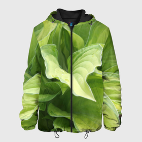 Мужская куртка 3D с принтом Зеленые листья после дождя в Петрозаводске, ткань верха — 100% полиэстер, подклад — флис | прямой крой, подол и капюшон оформлены резинкой с фиксаторами, два кармана без застежек по бокам, один большой потайной карман на груди. Карман на груди застегивается на липучку | абстракция | вода | дача | дождь | зеленая | зеленый | изгиб | камуфляж | капля | лето | лист | листок | листья | маскировка | природа | растение | участок | фазенда | цветовод | цветоводство
