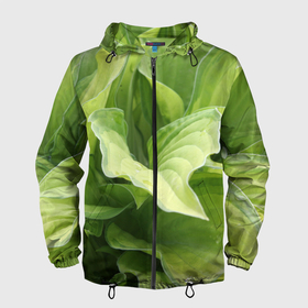 Мужская ветровка 3D с принтом Зеленые листья после дождя , 100% полиэстер | подол и капюшон оформлены резинкой с фиксаторами, два кармана без застежек по бокам, один потайной карман на груди | Тематика изображения на принте: абстракция | вода | дача | дождь | зеленая | зеленый | изгиб | камуфляж | капля | лето | лист | листок | листья | маскировка | природа | растение | участок | фазенда | цветовод | цветоводство