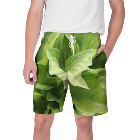 Мужские шорты 3D с принтом Зеленые листья после дождя в Белгороде,  полиэстер 100% | прямой крой, два кармана без застежек по бокам. Мягкая трикотажная резинка на поясе, внутри которой широкие завязки. Длина чуть выше колен | Тематика изображения на принте: абстракция | вода | дача | дождь | зеленая | зеленый | изгиб | камуфляж | капля | лето | лист | листок | листья | маскировка | природа | растение | участок | фазенда | цветовод | цветоводство