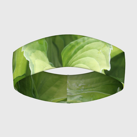 Повязка на голову 3D с принтом Зеленые листья после дождя в Курске,  |  | абстракция | вода | дача | дождь | зеленая | зеленый | изгиб | камуфляж | капля | лето | лист | листок | листья | маскировка | природа | растение | участок | фазенда | цветовод | цветоводство