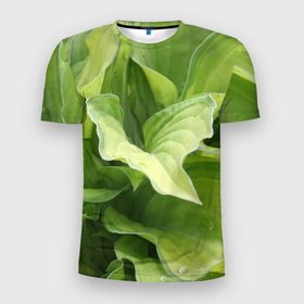 Мужская футболка 3D Slim с принтом Зеленые листья после дождя , 100% полиэстер с улучшенными характеристиками | приталенный силуэт, круглая горловина, широкие плечи, сужается к линии бедра | Тематика изображения на принте: абстракция | вода | дача | дождь | зеленая | зеленый | изгиб | камуфляж | капля | лето | лист | листок | листья | маскировка | природа | растение | участок | фазенда | цветовод | цветоводство