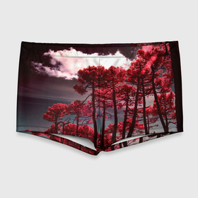 Мужские купальные плавки 3D с принтом Абстрактные красные деревья и облака , Полиэстер 85%, Спандекс 15% |  | abstraction | art | artwork | colorful | colors | dark | darkness | graphics | nature | patterns | sky | surrealism | sweethuman | sweethumen | trees | абстракция | арт | графика | деревья | искусство | небо | природа | разноцветный | сюрреализм | темнота