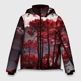 Мужская зимняя куртка 3D с принтом Абстрактные красные деревья и облака в Тюмени, верх — 100% полиэстер; подкладка — 100% полиэстер; утеплитель — 100% полиэстер | длина ниже бедра, свободный силуэт Оверсайз. Есть воротник-стойка, отстегивающийся капюшон и ветрозащитная планка. 

Боковые карманы с листочкой на кнопках и внутренний карман на молнии. | abstraction | art | artwork | colorful | colors | dark | darkness | graphics | nature | patterns | sky | surrealism | sweethuman | sweethumen | trees | абстракция | арт | графика | деревья | искусство | небо | природа | разноцветный | сюрреализм | темнота