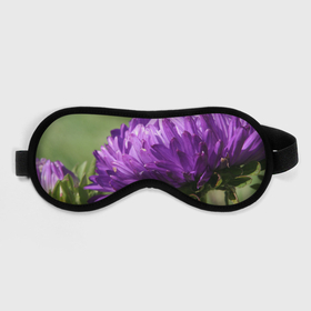 Маска для сна 3D с принтом Фиолетовая астра в Белгороде, внешний слой — 100% полиэфир, внутренний слой — 100% хлопок, между ними — поролон |  | астра | дача | красота | лепесток | лето | огород | природа | растение | участок | фазенда | фиолет | фиолетовый | цветение | цветовод | цветоводство | цветок | цветы